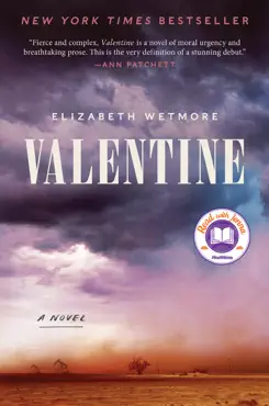 valentine book cover image