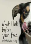 What I Lick Before Your Face synopsis, comments