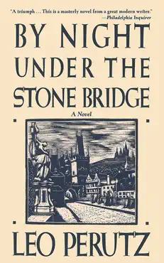 by night under the stone bridge book cover image