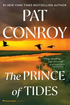 the prince of tides book cover image