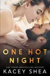 One Hot Night synopsis, comments