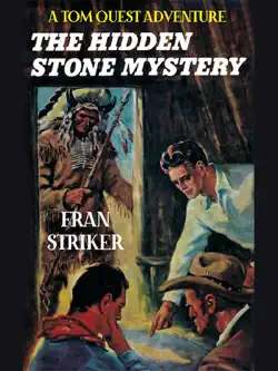 the hidden stone mystery book cover image