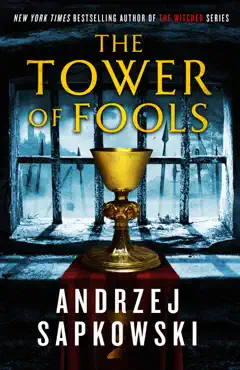 the tower of fools book cover image