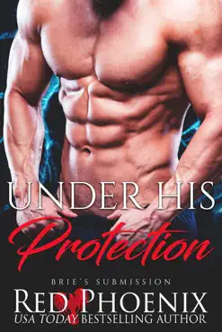 under his protection book cover image
