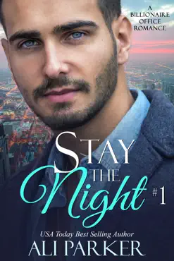 stay the night book 1 book cover image