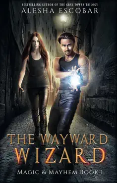 the wayward wizard book cover image