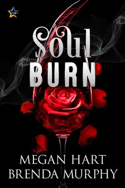soul burn book cover image