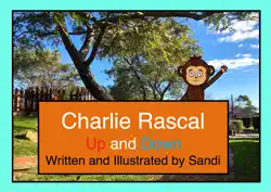 charlie rascal up and down book cover image