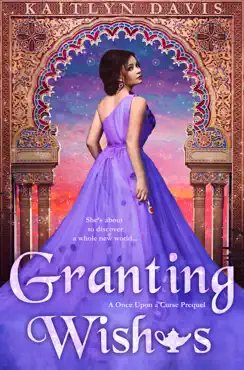 granting wishes book cover image