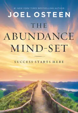 the abundance mind-set book cover image