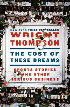 the cost of these dreams book cover image