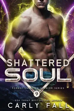 shattered soul book cover image