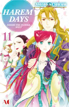 harem days the seven-starred country volume 11 book cover image