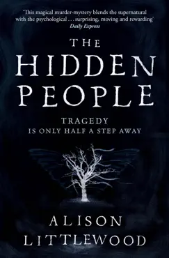 the hidden people book cover image