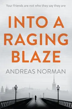 into a raging blaze book cover image