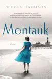 Montauk synopsis, comments