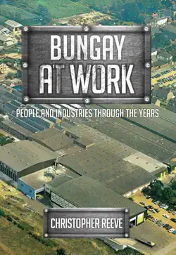 bungay at work book cover image
