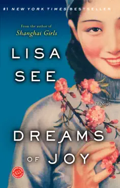 dreams of joy book cover image