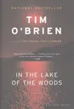 In the Lake of the Woods synopsis, comments