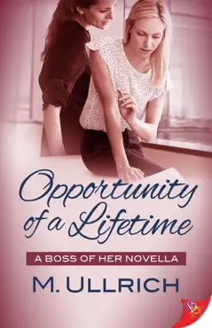 opportunity of a lifetime book cover image