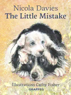 the little mistake book cover image