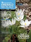 Emerald Necklace May 2020 iPad edition synopsis, comments