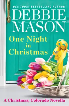 one night in christmas book cover image