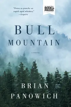 bull mountain book cover image