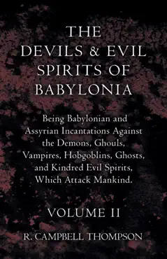 the devils and evil spirits of babylonia, being babylonian and assyrian incantations against the demons, ghouls, vampires, hobgoblins, ghosts, and kindred evil spirits, which attack mankind. volume ii book cover image