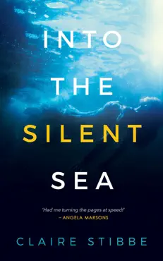 into the silent sea book cover image