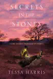 Secrets in the Stones e-book