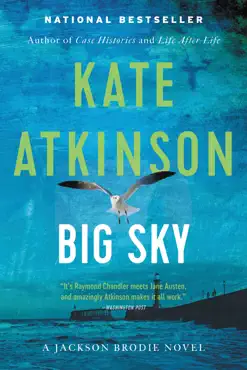 big sky book cover image