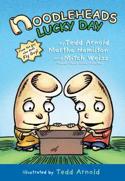 noodleheads lucky day book cover image