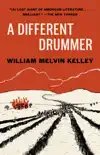 A Different Drummer synopsis, comments