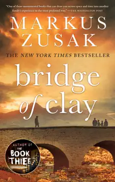 bridge of clay book cover image