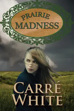 prairie madness book cover image