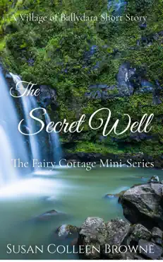 the secret well book cover image