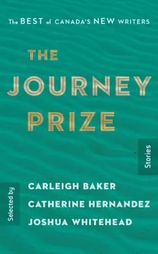 the journey prize stories 31 book cover image