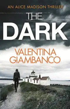 the dark book cover image
