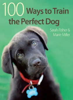 100 ways to train the perfect dog book cover image