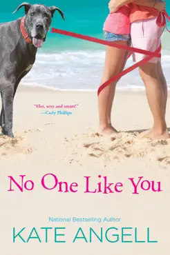 no one like you book cover image