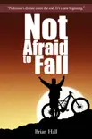 Not Afraid to Fall synopsis, comments