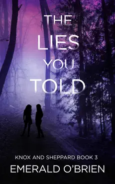 the lies you told book cover image
