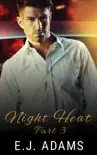 Night Heat Part 3 synopsis, comments