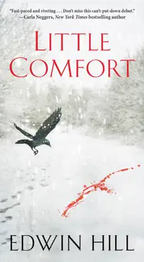 little comfort book cover image