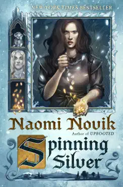 spinning silver book cover image