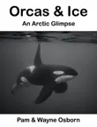 Orcas & Ice sinopsis y comentarios