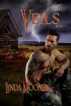 veils book cover image