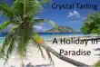 A Holiday In Paradise synopsis, comments