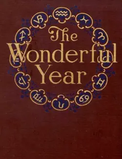 the wonderful year book cover image